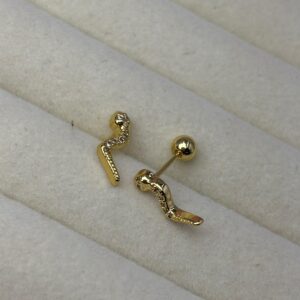 Leher Rhinestone Studs
