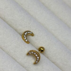 Chaand Leaf Studs 🌙